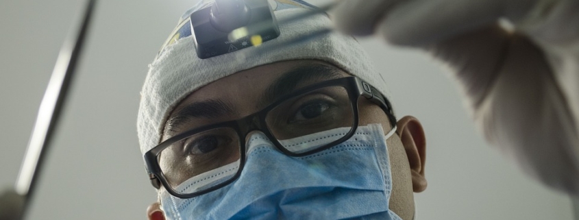 Alaskan Malamute Training - Chewing Problems